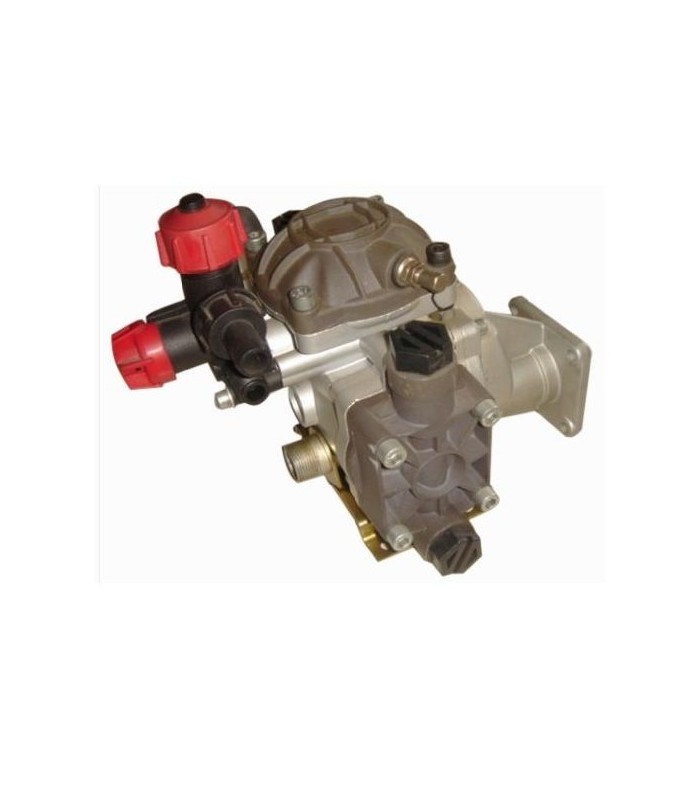 BOMBA 2 MEMBRANAS + COMANDO 20L/MIN