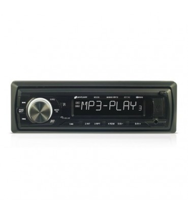 RADIO MS-200
