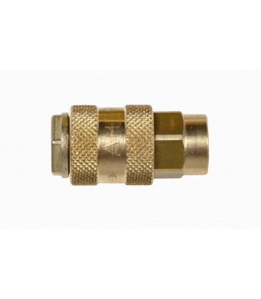 Enchufe rápido universal rosca hembra (1/4 gas d-12)