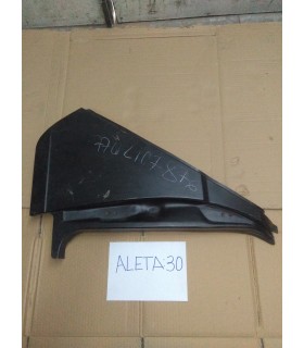 ALETA Nº30