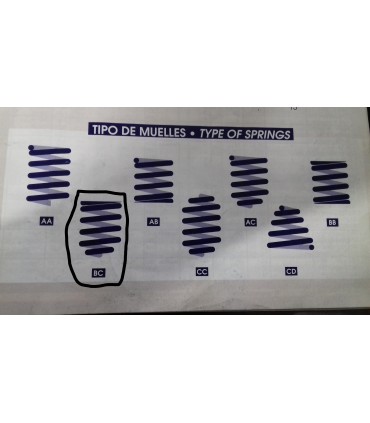 MUELLE SUSPENSION DELANTERO RENAULT 9/11 DIESEL
