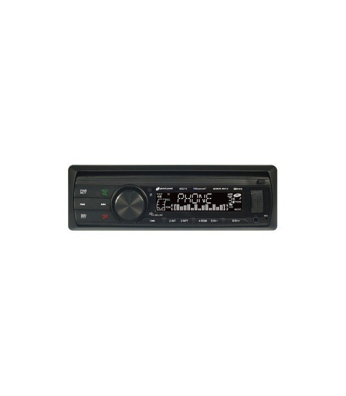 RADIO MS-206 USB