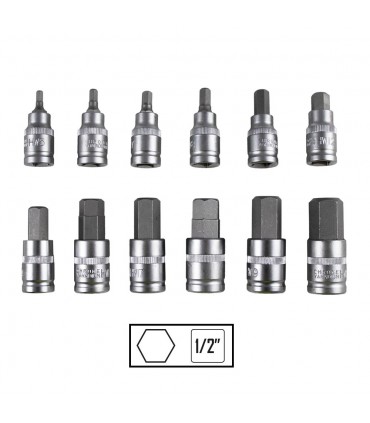 SET DE 12 PIEZAS DE 1/2" PUNTA HEXAGONAL