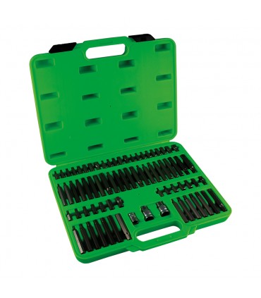 ESTUCHE DE PUNTAS 75 PIEZAS PARA TORNILLOS RIBE, XZN, TORX HEXAGONAL INV.