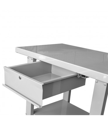 MESA DE TRABAJO DE 1 CAJÓN