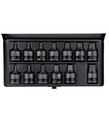 SET DE 13 PUNTAS DE IMPACTO DE 1/2" HEXAGONAL Y TORX