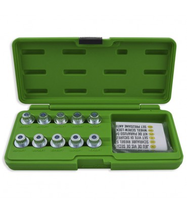 SET EXTRACTOR DE TORNILLOS DE SEGURIDAD PARA BMW