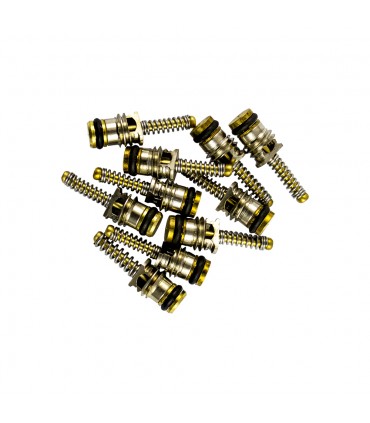 BOLSA DE 10 OBUSES PARA REF. 53599 - 5x18mm