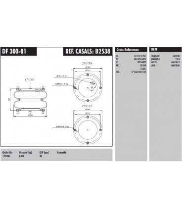 TORPRESS NEUMATICA SMB 2B-300 TOMA LATERAL