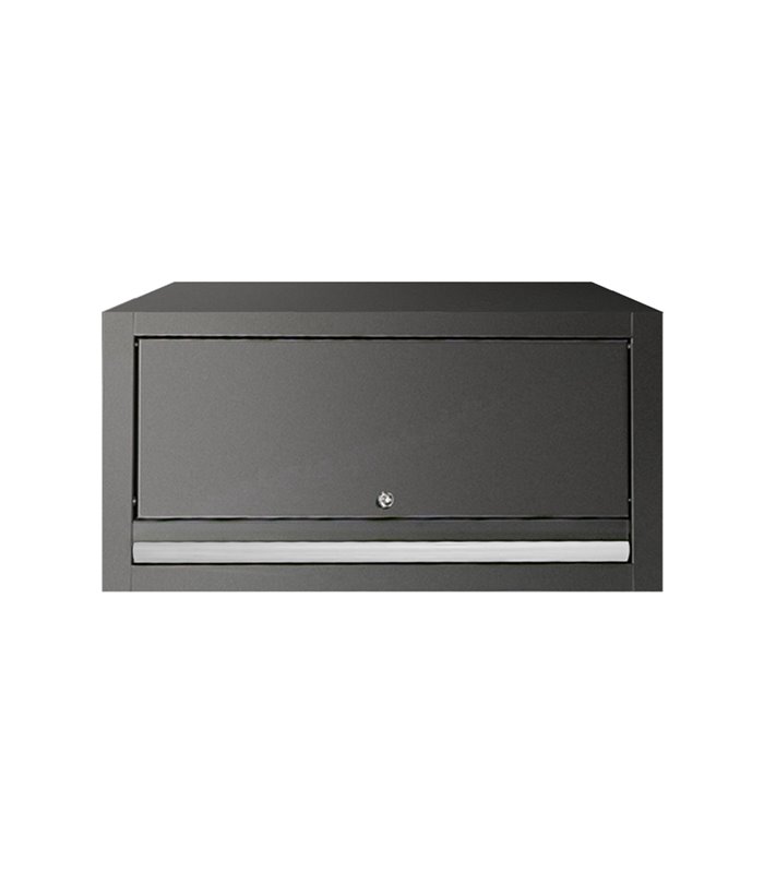 ARMARIO DE PARED - PLATA