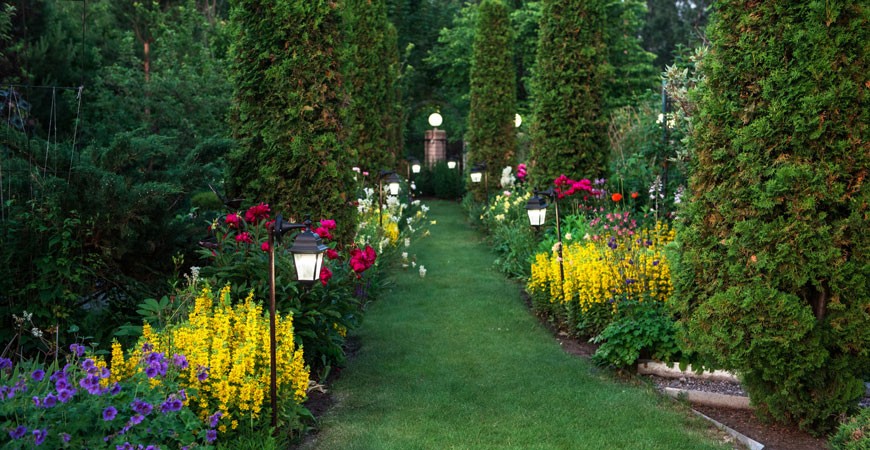 Conozcamos las mejores herramientas de jardinería manuales: tijeras de podar