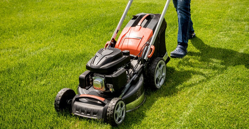 ¿Qué debes saber antes de comprar un cortacésped?